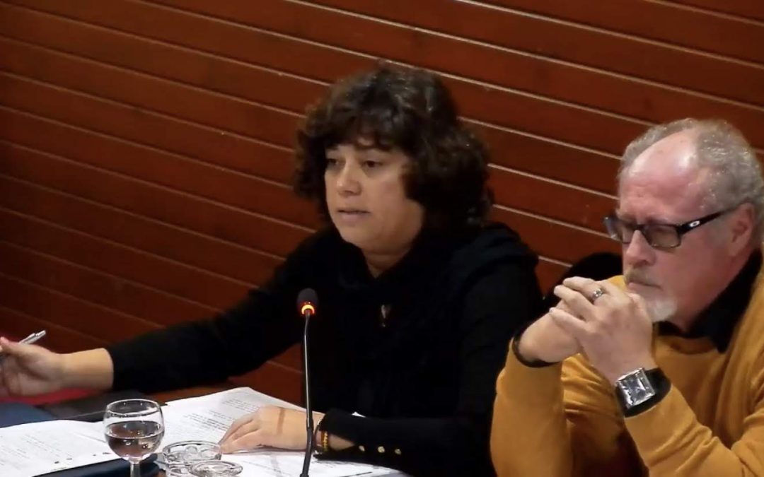 IU lamenta que el PSOE continúe desmantelando los servicios públicos